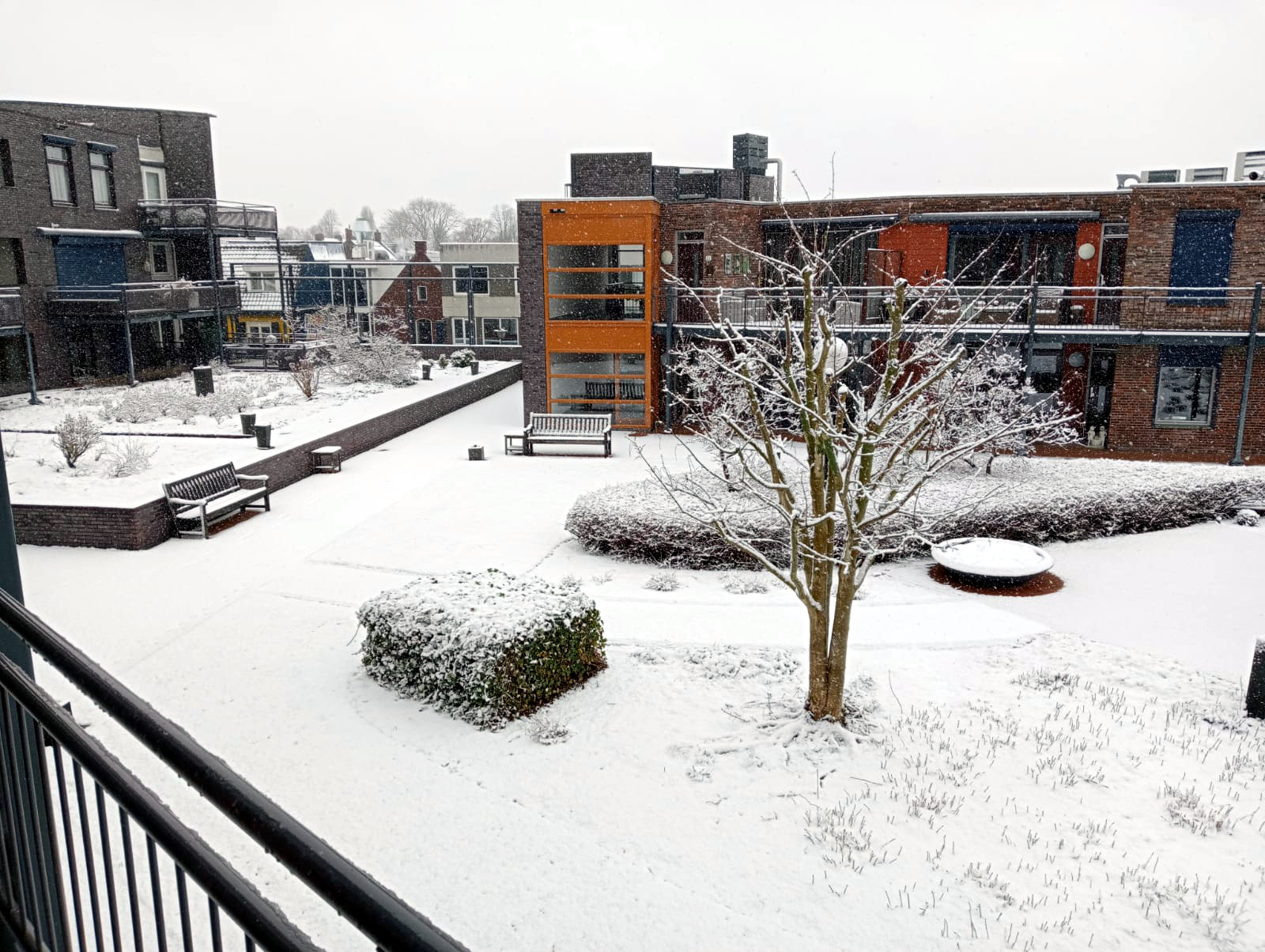 Maart roert zijn staart